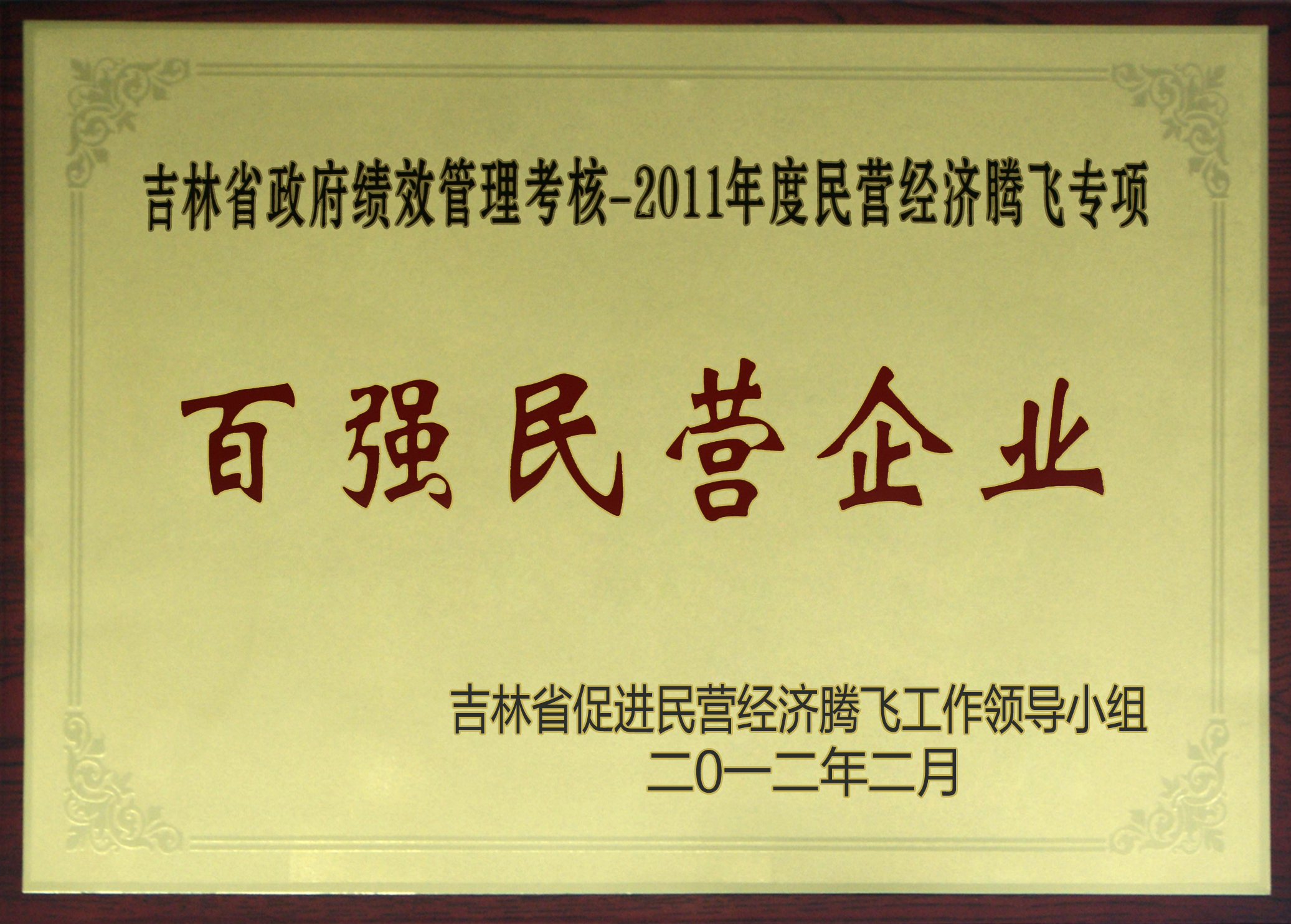 2011年省經濟騰飛百強民營企業