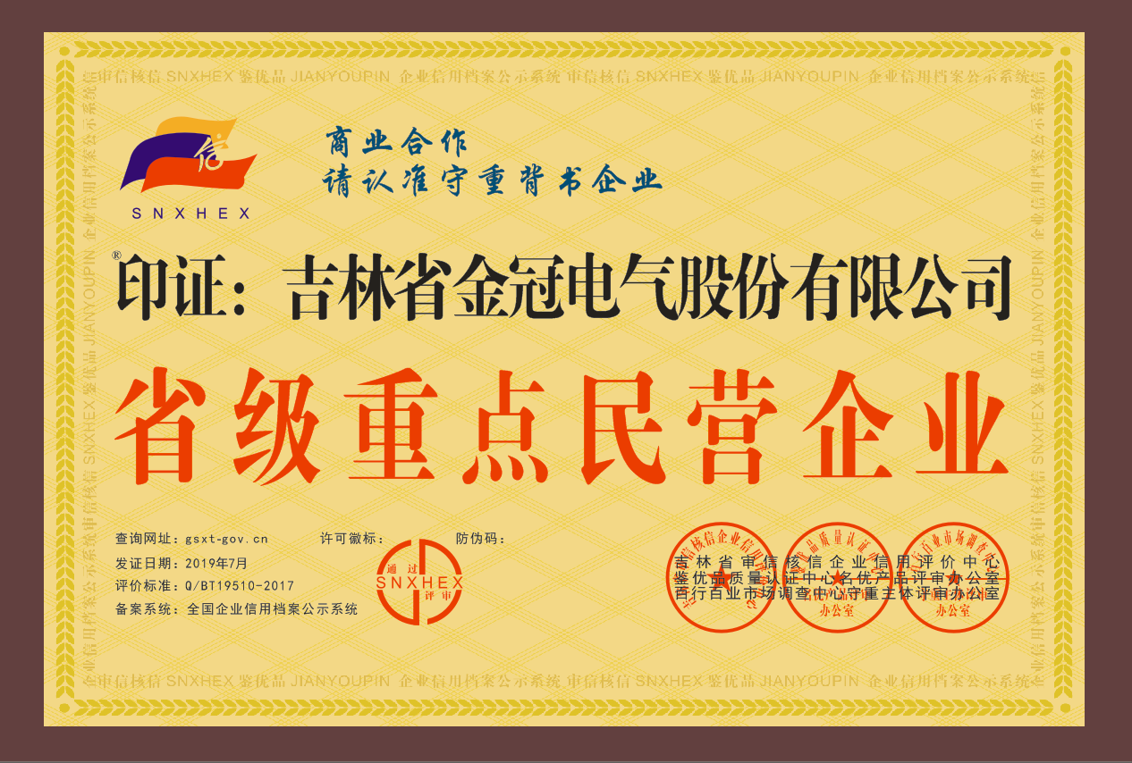 省級重點民營企業